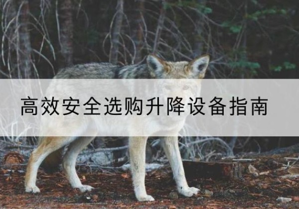 木兰升降货梯厂家推荐-*安全选购升降设备指南