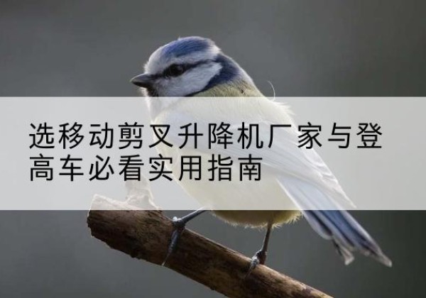 木兰电动升降机厂家-选移动剪叉升降机厂家与登高车必看实用指南